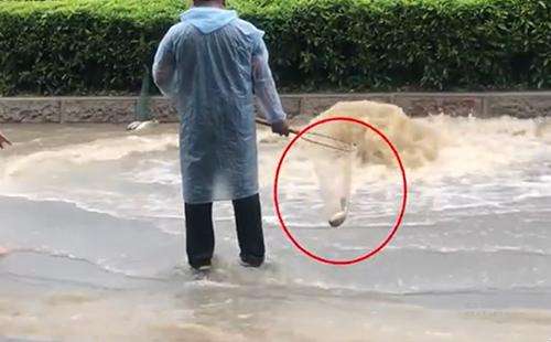輸送帶廠家：廣州雨后內(nèi)澇嚴重，路人當街捕魚